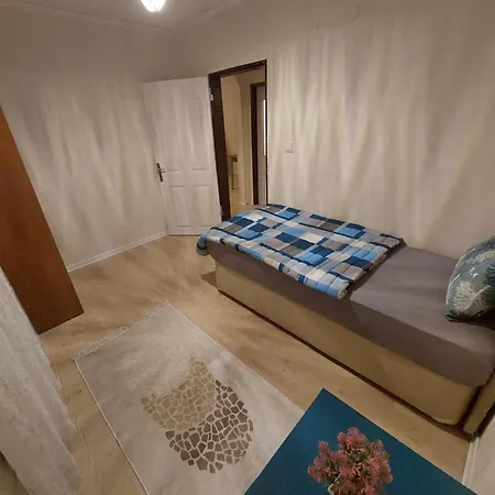 F.a.a Sabiha Goekcen *