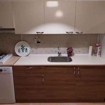 F.a.a Sabiha Goekcen Estambul