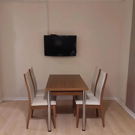 F.a.a Sabiha Goekcen *