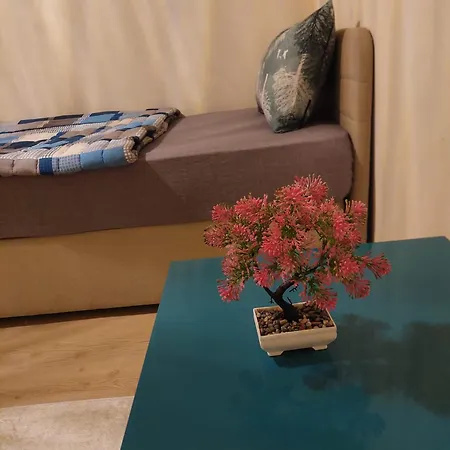 F.a.a Sabiha Goekcen Apartmán *